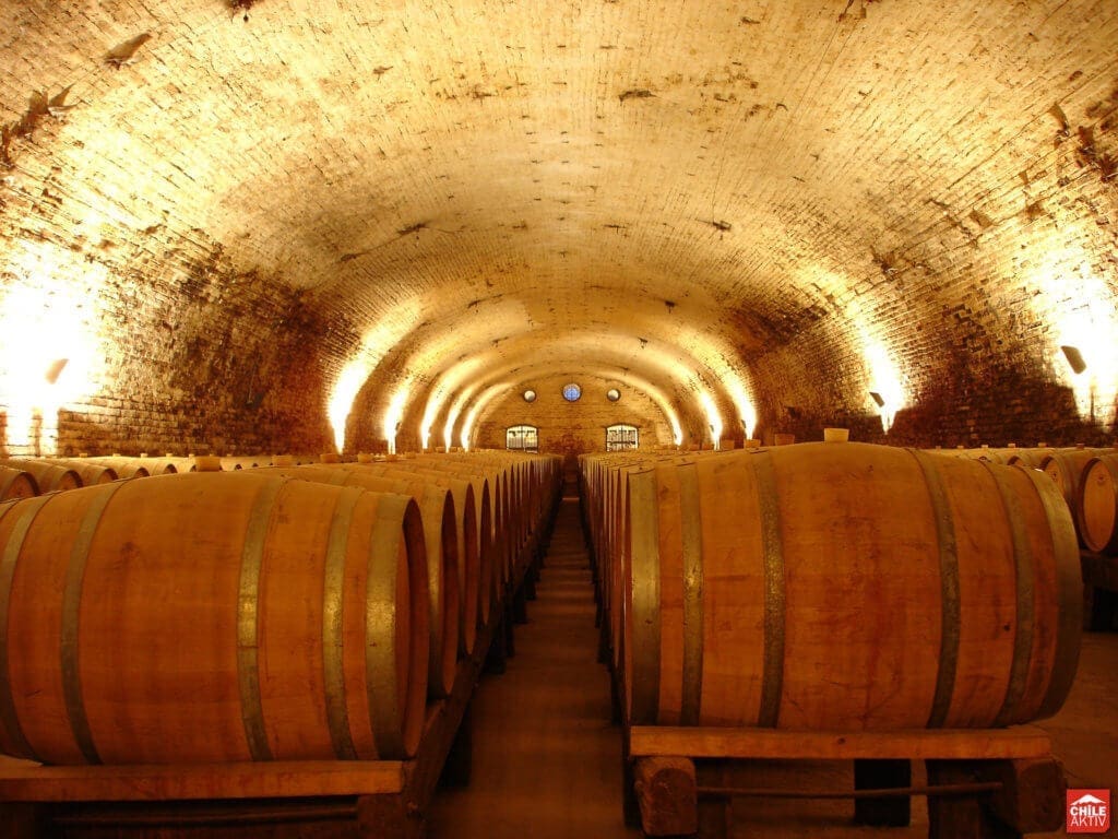 Best Travel Destinations for Wine Lovers in Chile