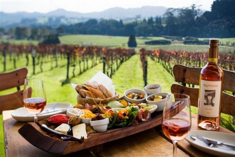 Travel Destinations for Wine Lovers in New Zealand