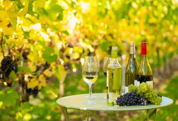 Travel Destinations for Wine Lovers in US