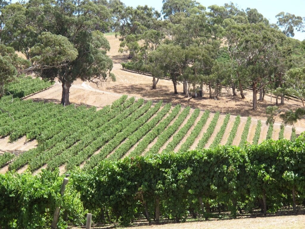 longview winery