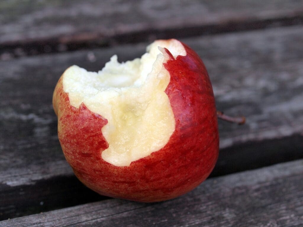 Apple bite